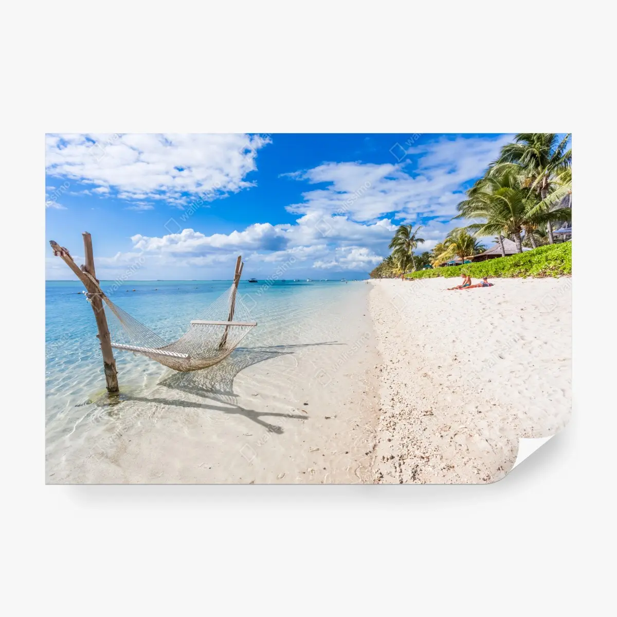 Fototapete tropische hängematte am weißen sandstrand – Pixers®
