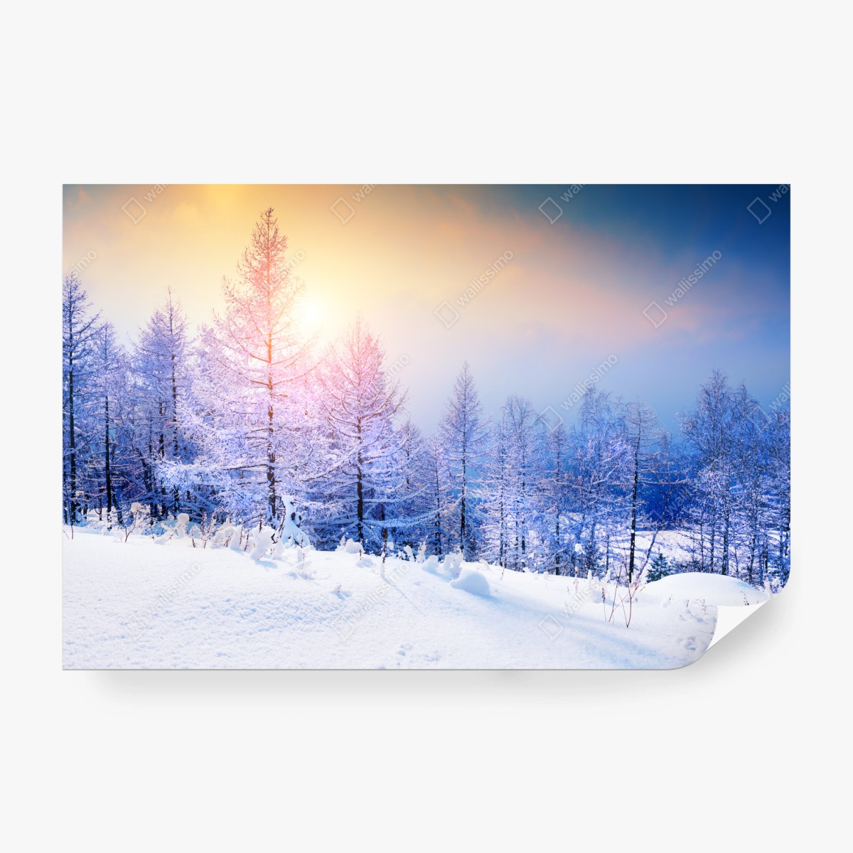 Fototapete winterlicher sonnenaufgang im verschneiten wald – Pixers®