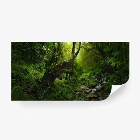 Fototapete verzauberter mooswald mit bach – Pixers®