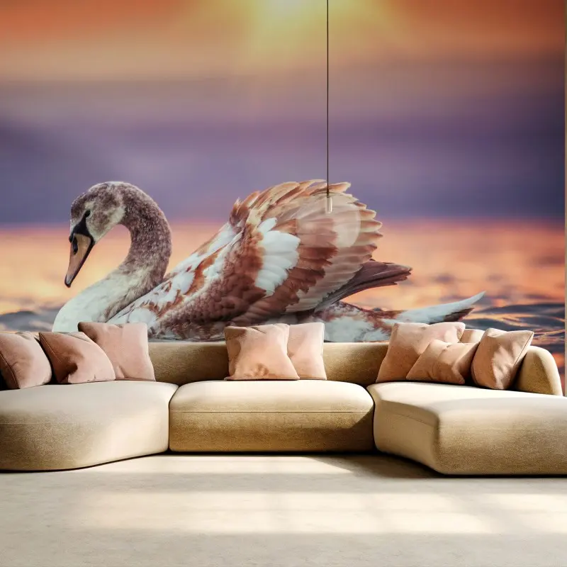 Fototapete anmutiger schwan bei sonnenuntergang