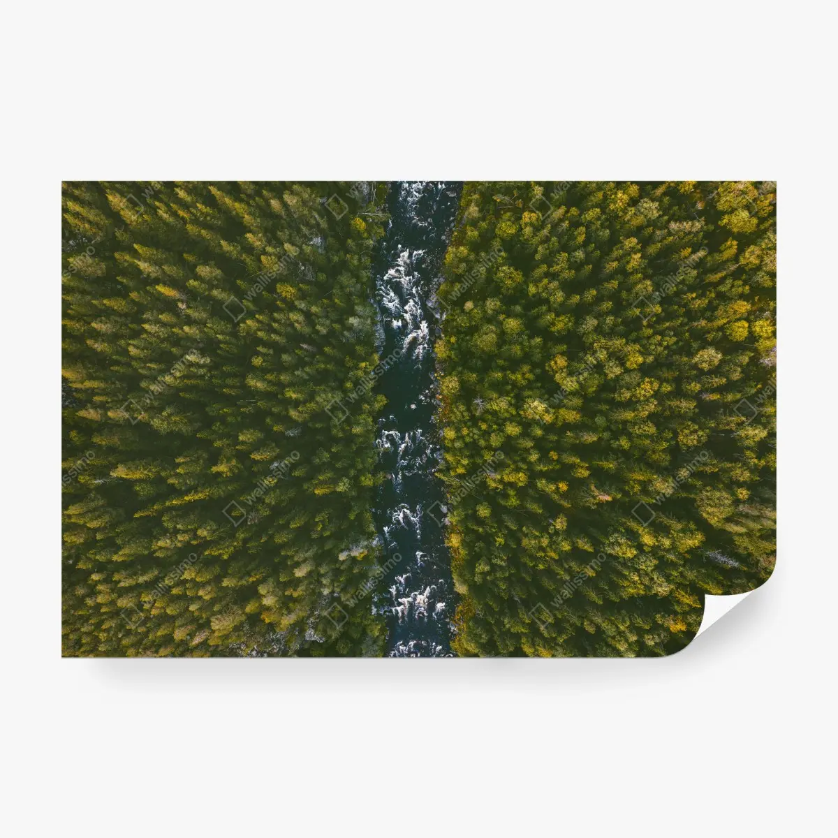 Fototapete luftaufnahme von wald und fluss – Pixers®