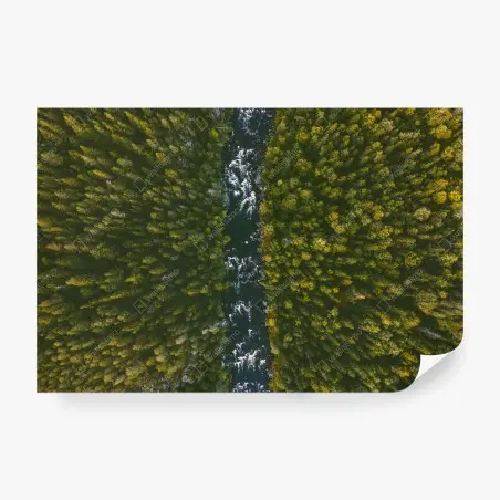 Fototapete luftaufnahme von wald und fluss – Pixers®