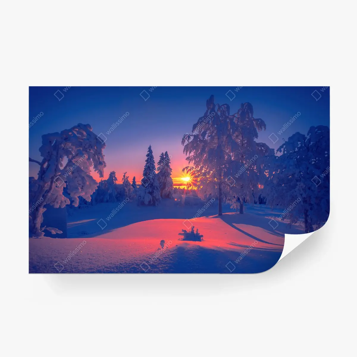 Fototapete winterlicher sonnenuntergang im verschneiten wald – Pixers®