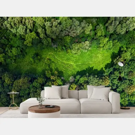 Fototapete luftaufnahme eines waldes mit wiese – Pixers®