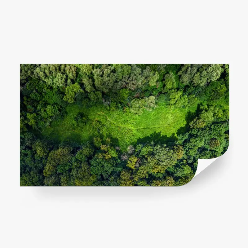Fototapete luftaufnahme eines waldes mit wiese