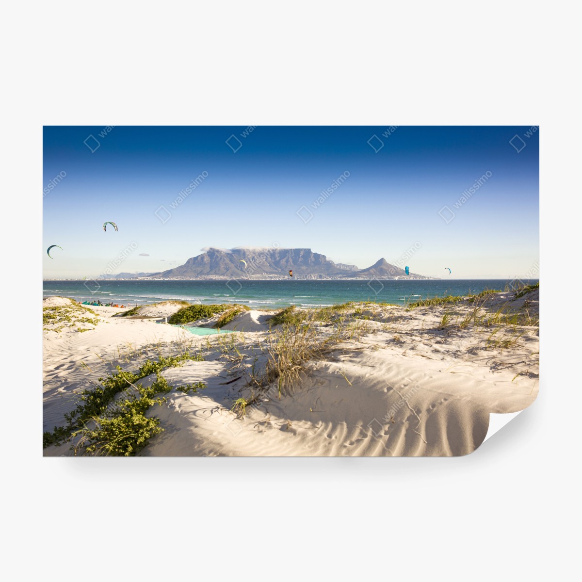 Fototapete sonnige dünen vor dem Tafelberg – Pixers®