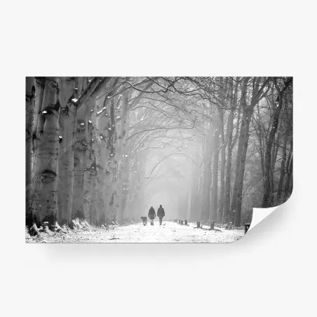 Fototapete nebliger winterwaldweg – Pixers®