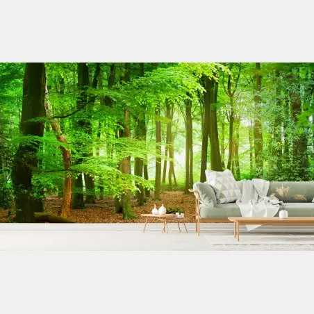 Fototapete sonnendurchfluteter grüner wald – Pixers®