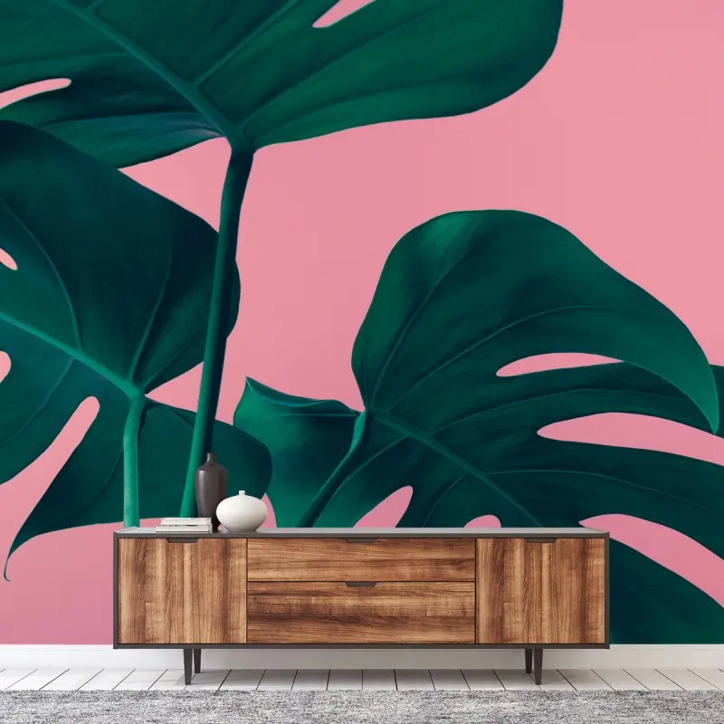 Fototapete tropische monstera-blätter vor rosa hintergrund