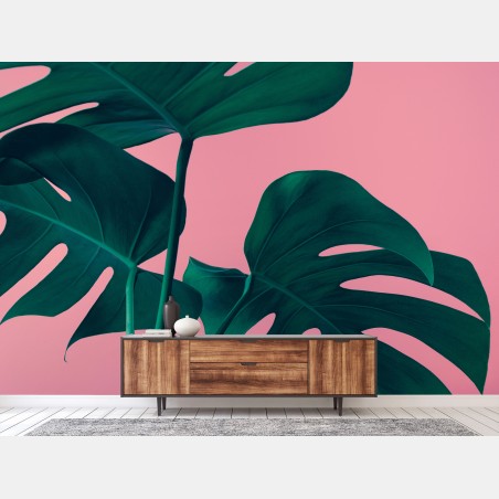 Fototapete tropische monstera-blätter vor rosa hintergrund – Pixers®
