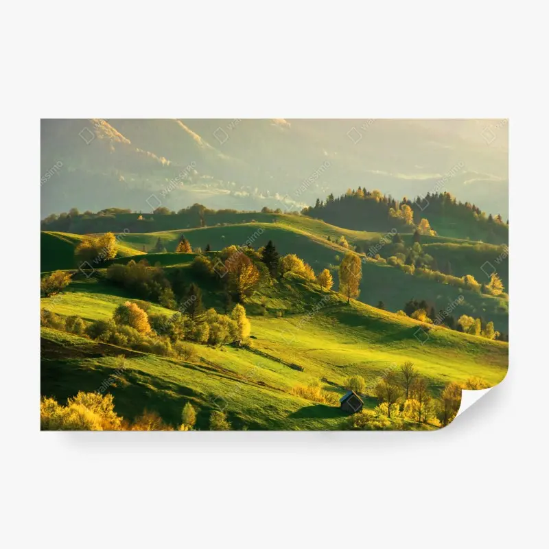 Fototapete sonnenbeschienene frühlingshügel
