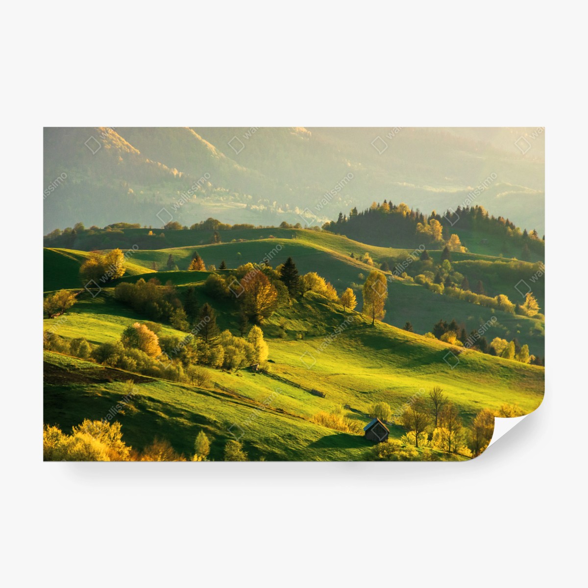 Fototapete sonnenbeschienene frühlingshügel – Pixers®