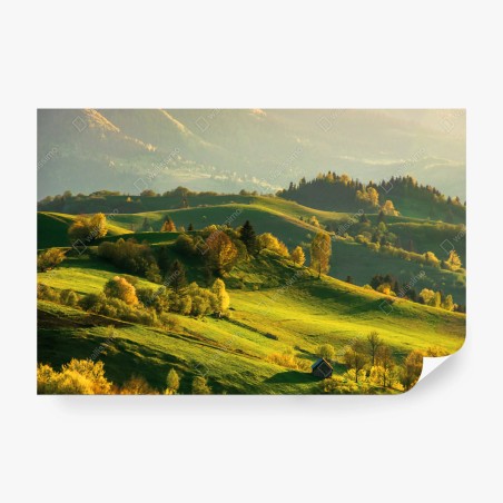 Fototapete sonnenbeschienene frühlingshügel – Pixers®