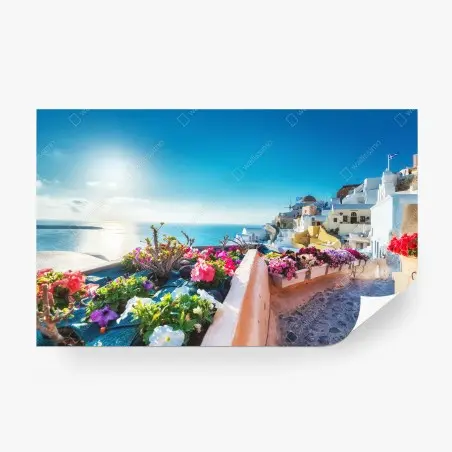 Fototapete Santorini terrasse mit blühenden blumen – Pixers®