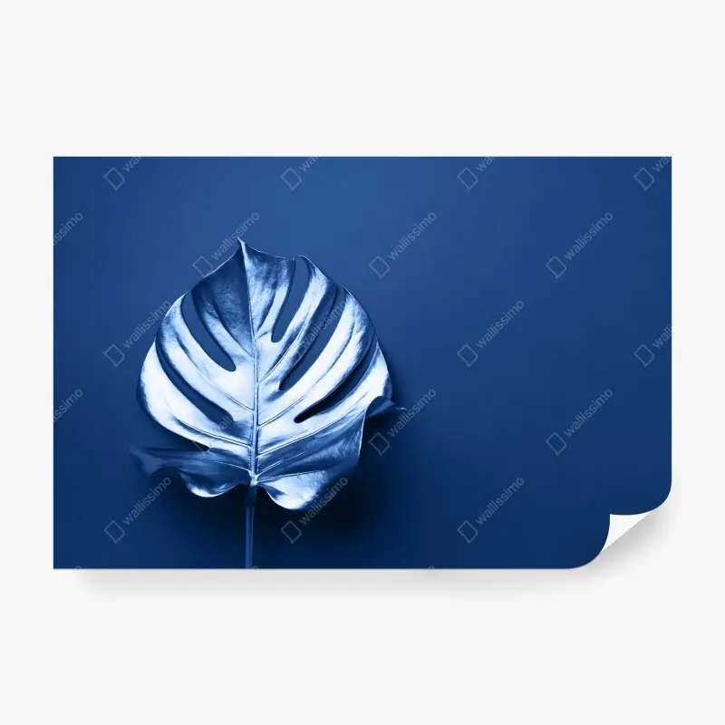 Fototapete blaues monstera-blatt minimalistische kunst