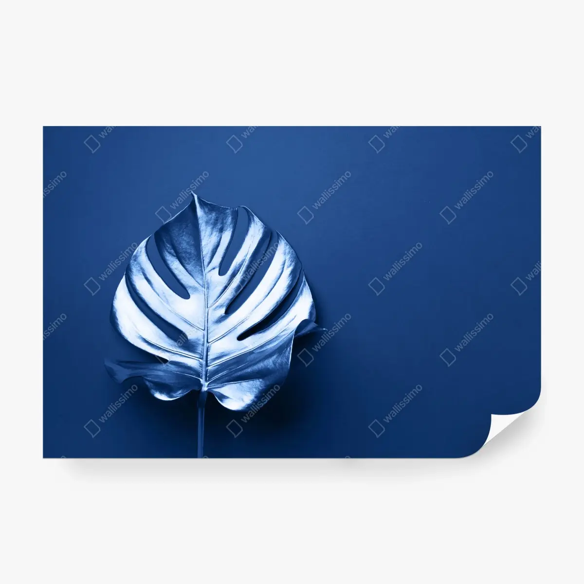 Fototapete blaues monstera-blatt minimalistische kunst – Pixers®