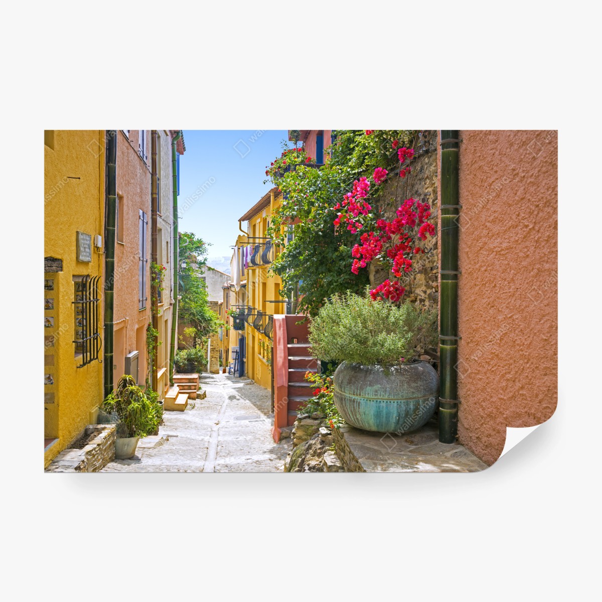 Fototapete sonnige mediterrane gasse mit bougainvillea – Pixers®