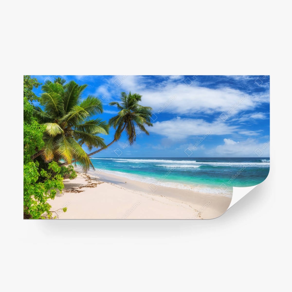 Fototapete tropischer palmenstrand – Pixers®