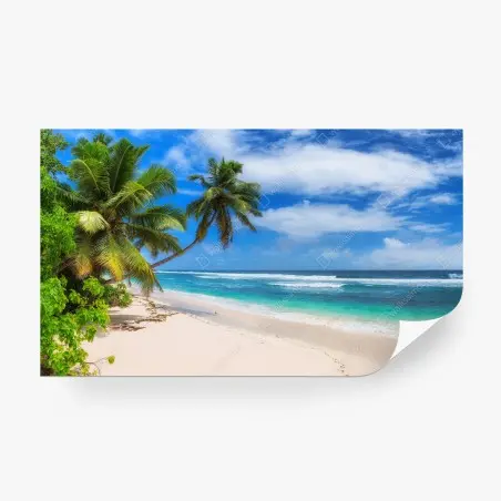 Fototapete tropischer palmenstrand – Pixers®