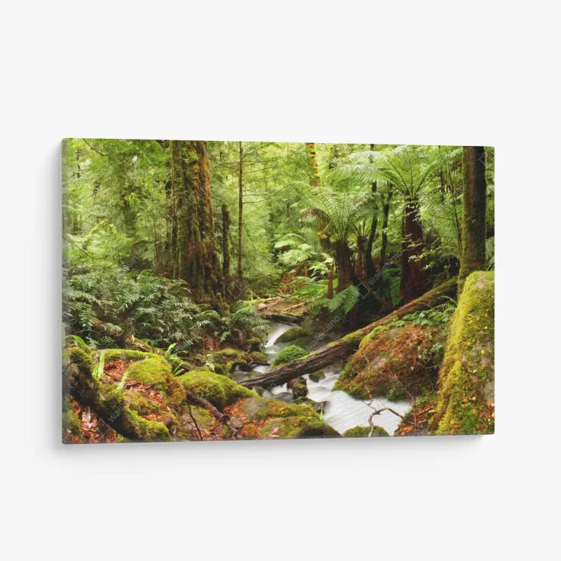 Leinwandbild üppiger moosbewachsener regenwaldbach in Victoria