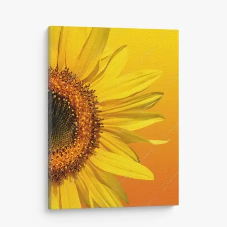 Leinwandbild leuchtende sonnenblume auf gelbem hintergrund – Pixers®