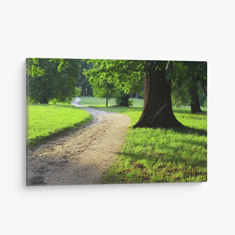 Leinwandbild sonnenbeschienener parkweg durch grüne wiese
