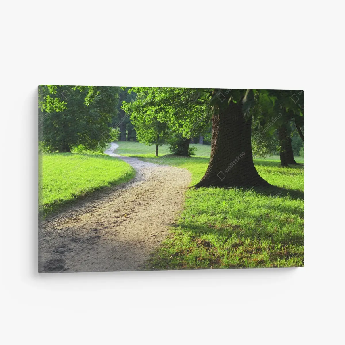 Leinwandbild sonnenbeschienener parkweg durch grüne wiese – Pixers®