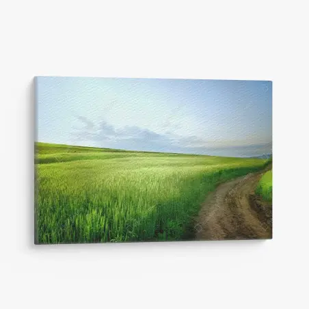 Leinwandbild sonnige ländliche wiese mit geschwungenem feldweg – Pixers®