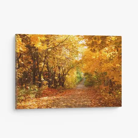 Leinwandbild goldener herbstweg durch die bäume – Pixers®