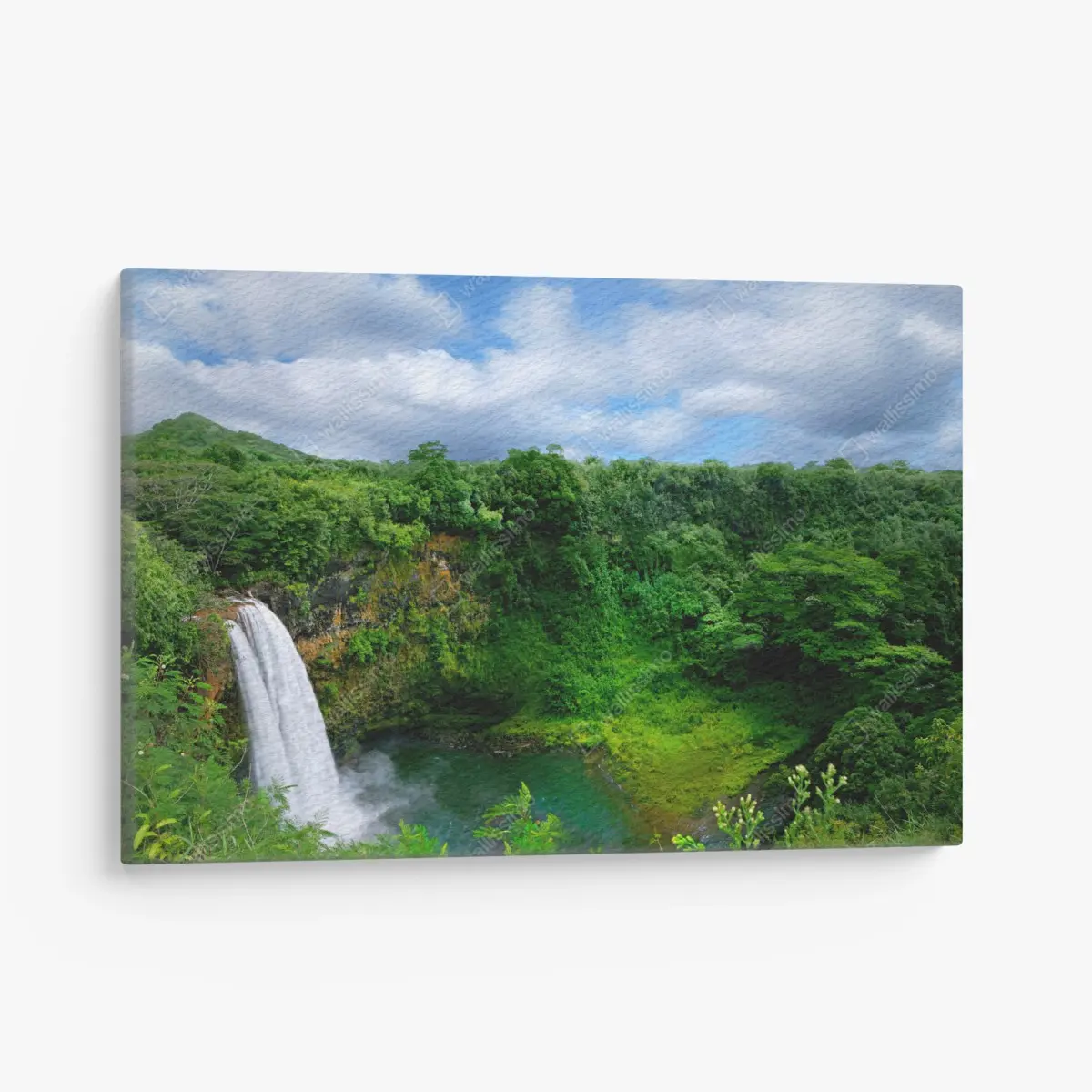 Leinwandbild üppiger wasserfall auf Hawaii – Pixers®