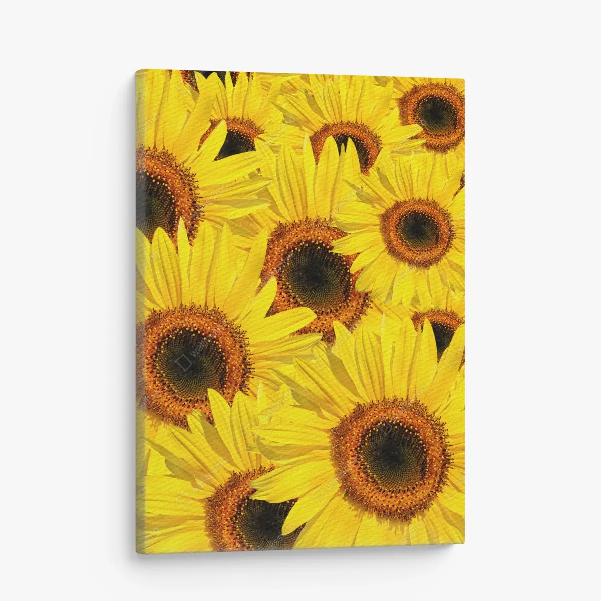 Leinwandbild leuchtende sonnenblumen-collage – Pixers®