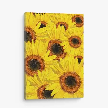 Leinwandbild leuchtende sonnenblumen-collage – Pixers®
