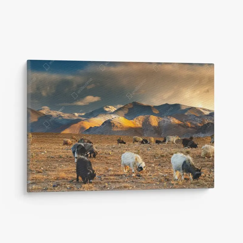 Leinwandbild Tibet: berglandschaft bei sonnenuntergang
