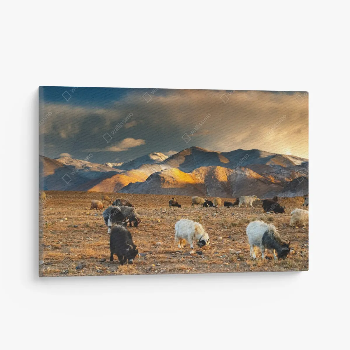 Leinwandbild Tibet: berglandschaft bei sonnenuntergang – Pixers®