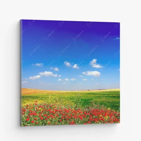 Leinwandbild lebhafte mohnwiese unter blauem himmel – Pixers®