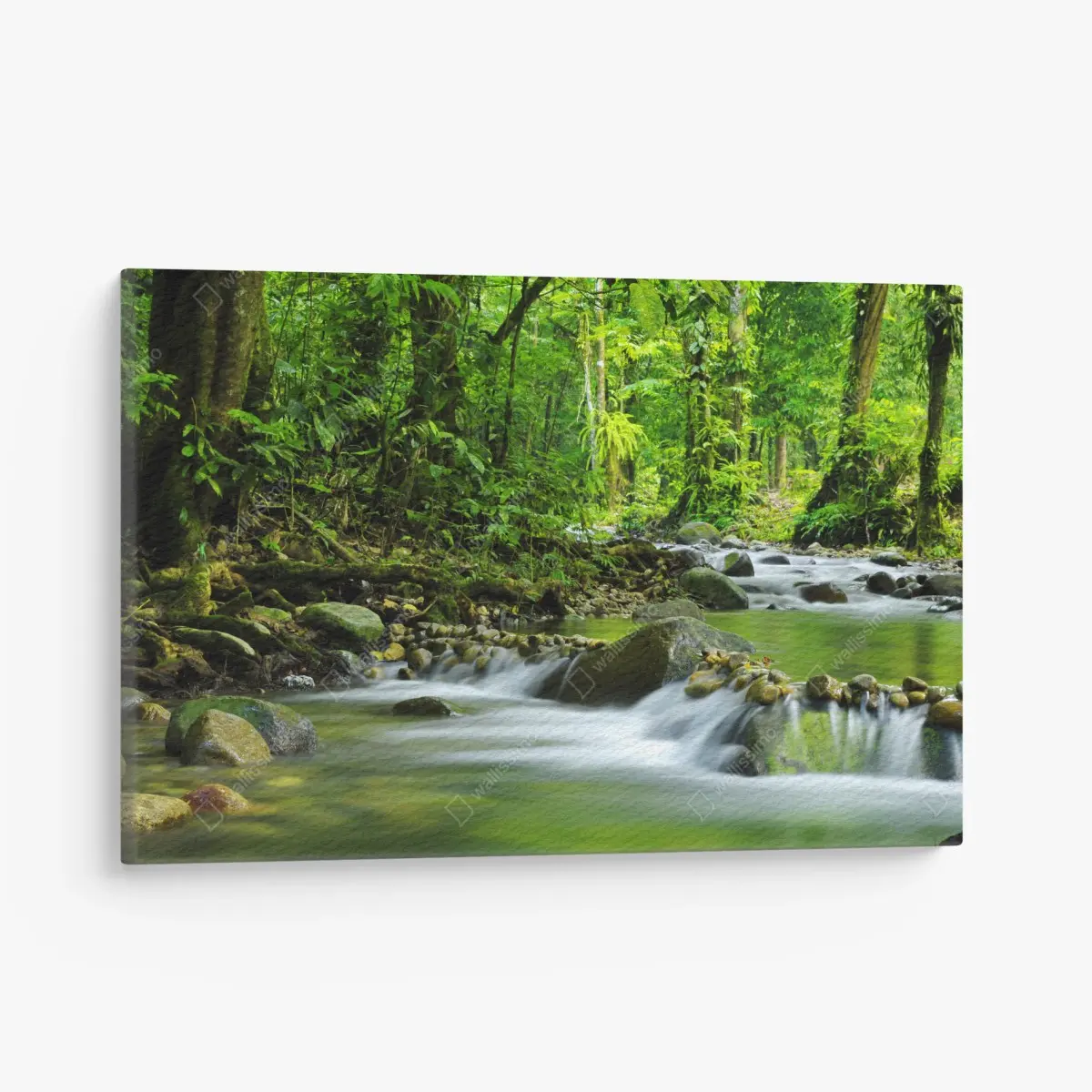 Leinwandbild ruhiger waldbachlauf – Pixers®