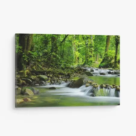 Leinwandbild ruhiger waldbachlauf – Pixers®