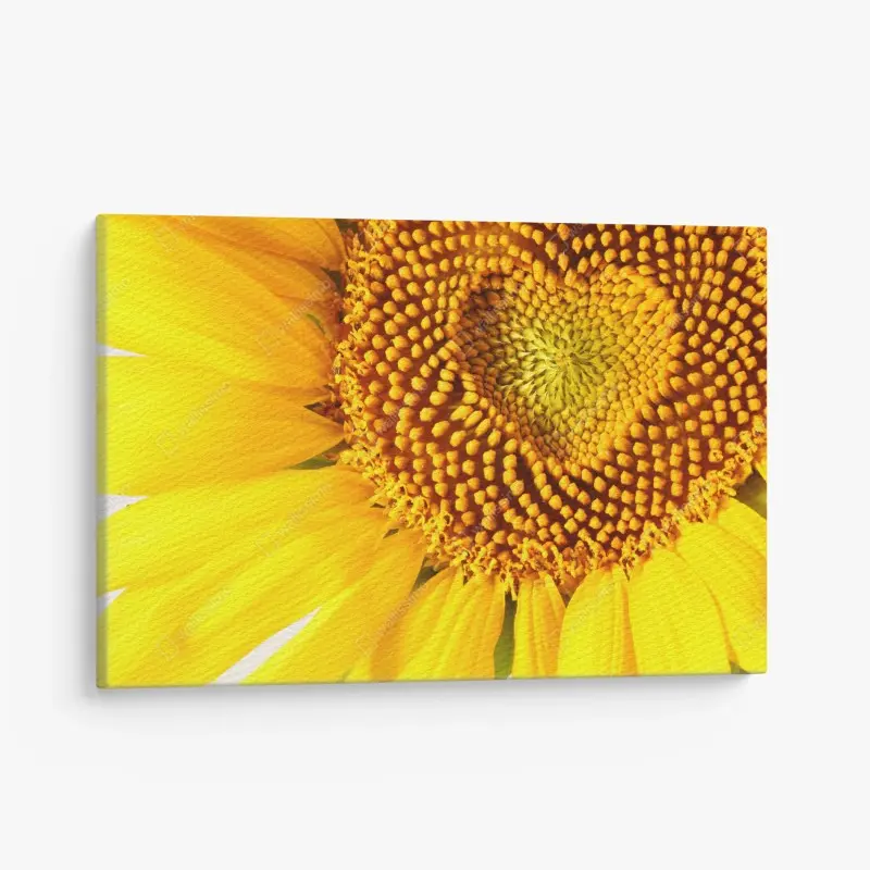 Leinwandbild sonnenblume mit herzförmiger mitte