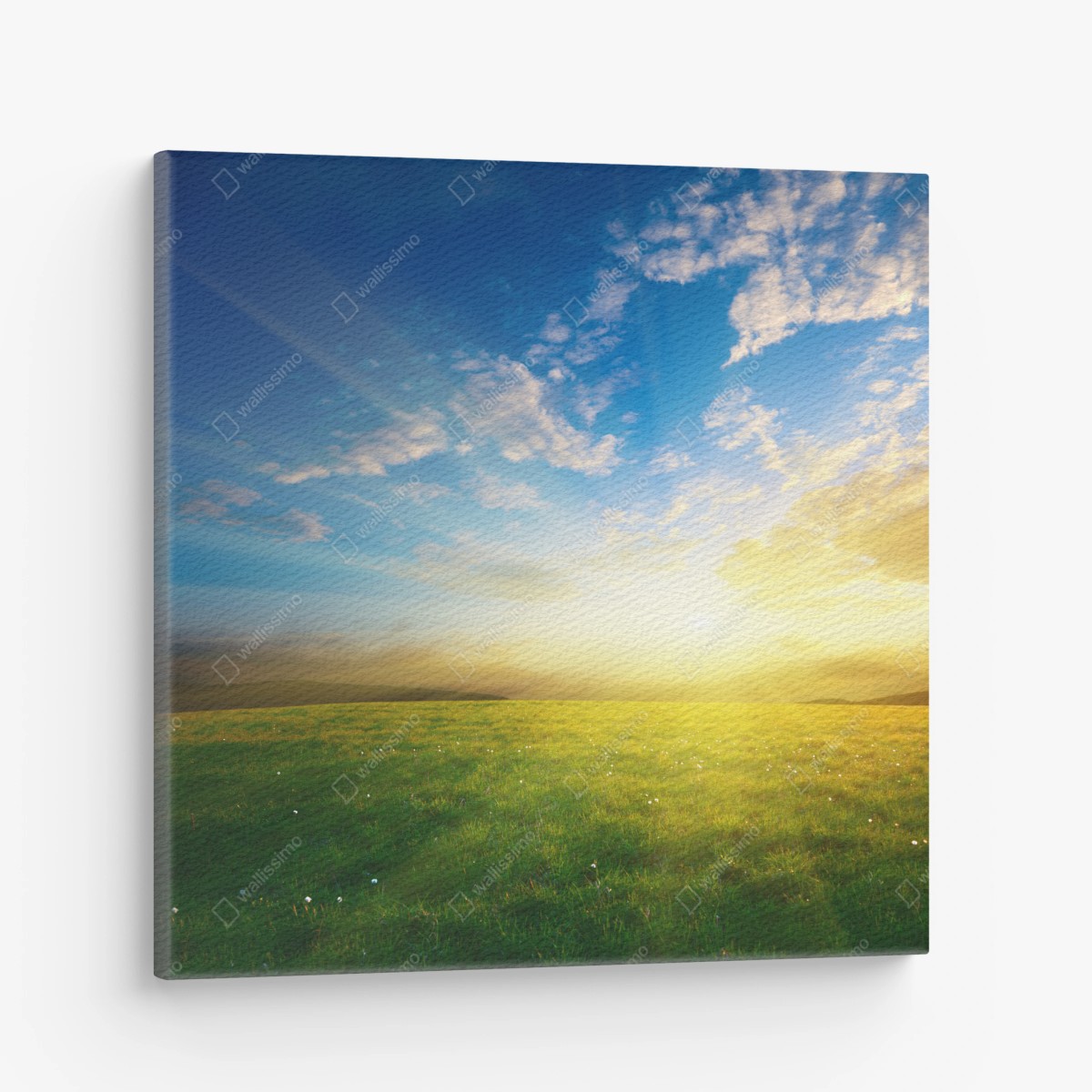 Leinwandbild sonnige wiese im morgenlicht – Pixers®