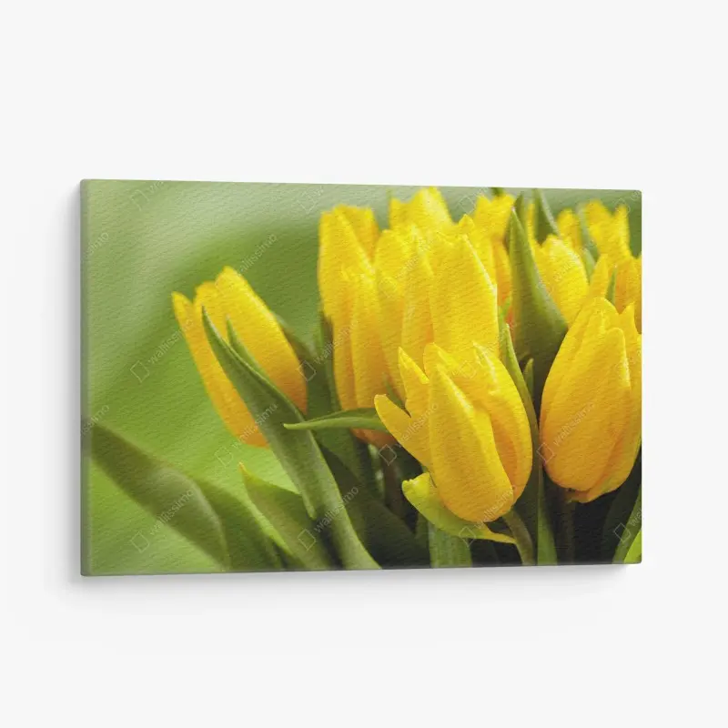 Leinwandbild leuchtender strauß gelber tulpen