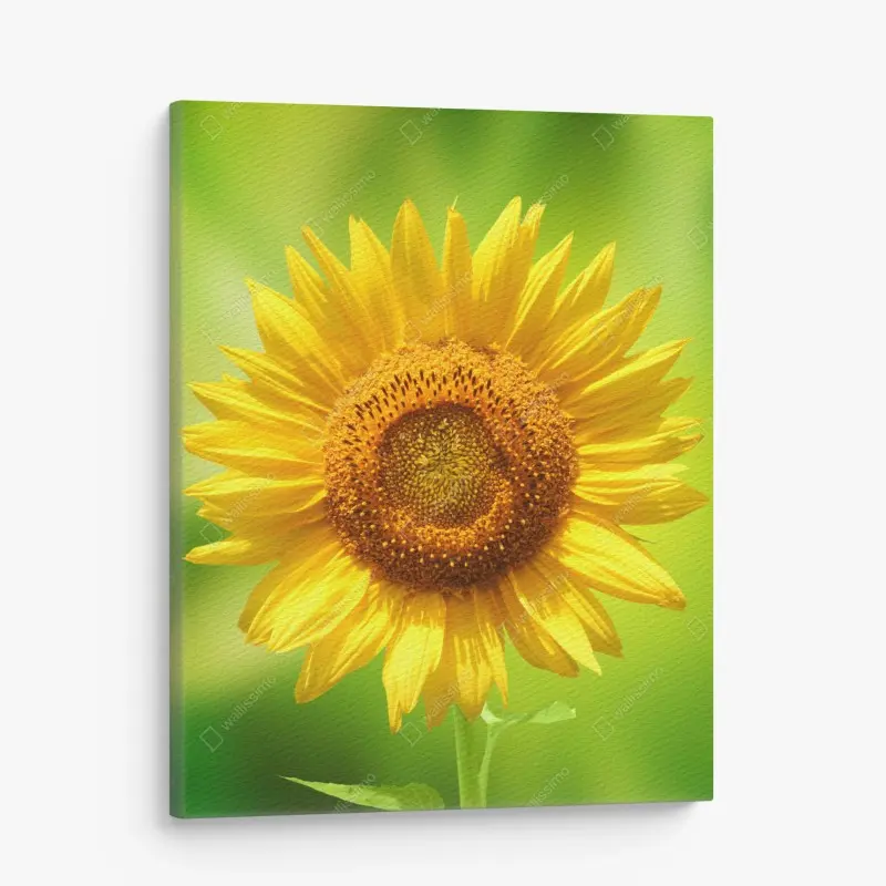 Leinwandbild leuchtende sonnenblume auf grünem hintergrund