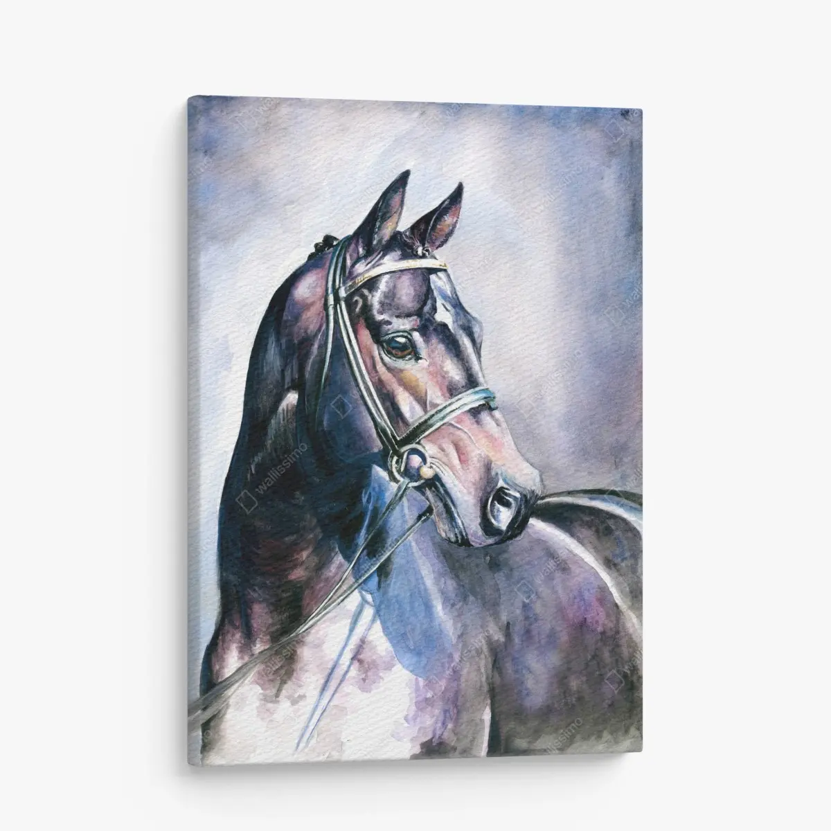 Leinwandbild majestätisches pferd-aquarellporträt – Pixers®