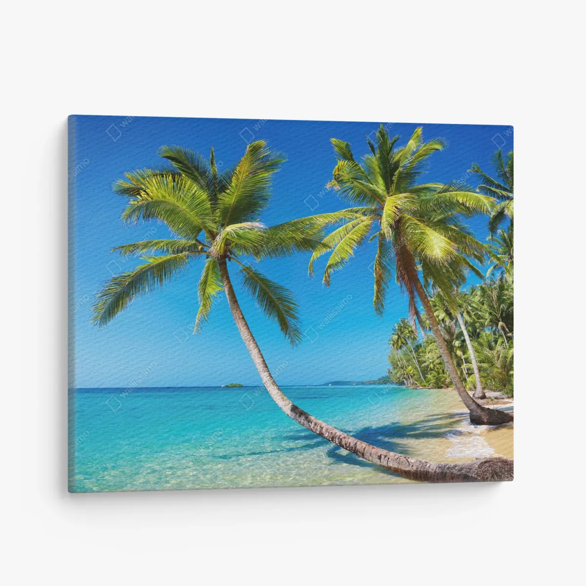 Leinwandbild tropische palmen auf Kood Island – Pixers®
