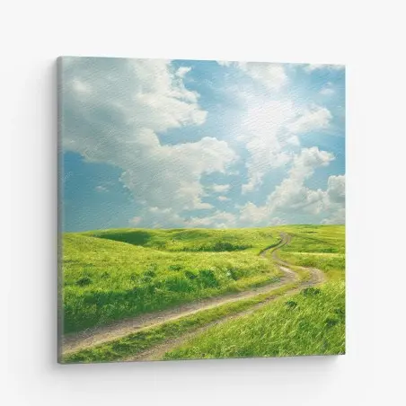 Leinwandbild sonniger feldweg durch grüne wiese – Pixers®