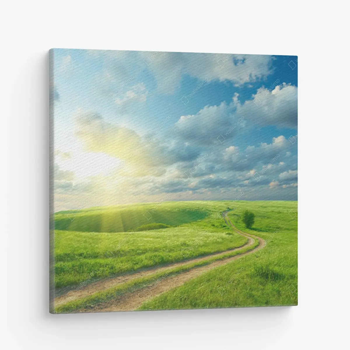 Leinwandbild sonnige sommerwiese mit geschwungenem weg – Pixers®