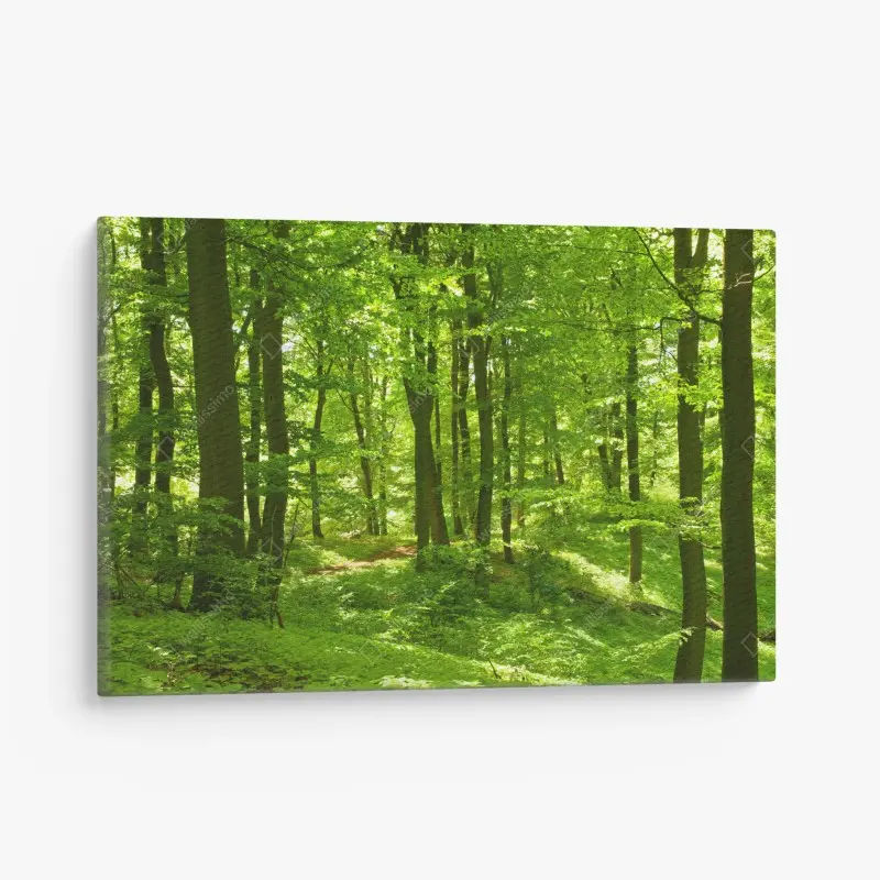 Leinwandbild üppiger grüner wald
