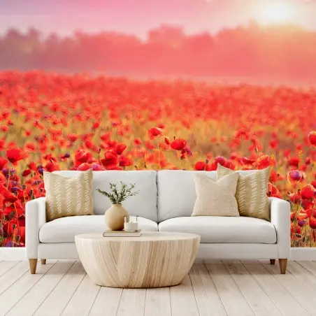 Fototapete ROTER MOHN FELD WIESE SONNE FÜR WOHNZIMMER – Pixers®