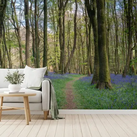 Fototapete WALD BLAU BLUMEN NATUR FRÜHLING WEG FÜR WOHNZIMMER