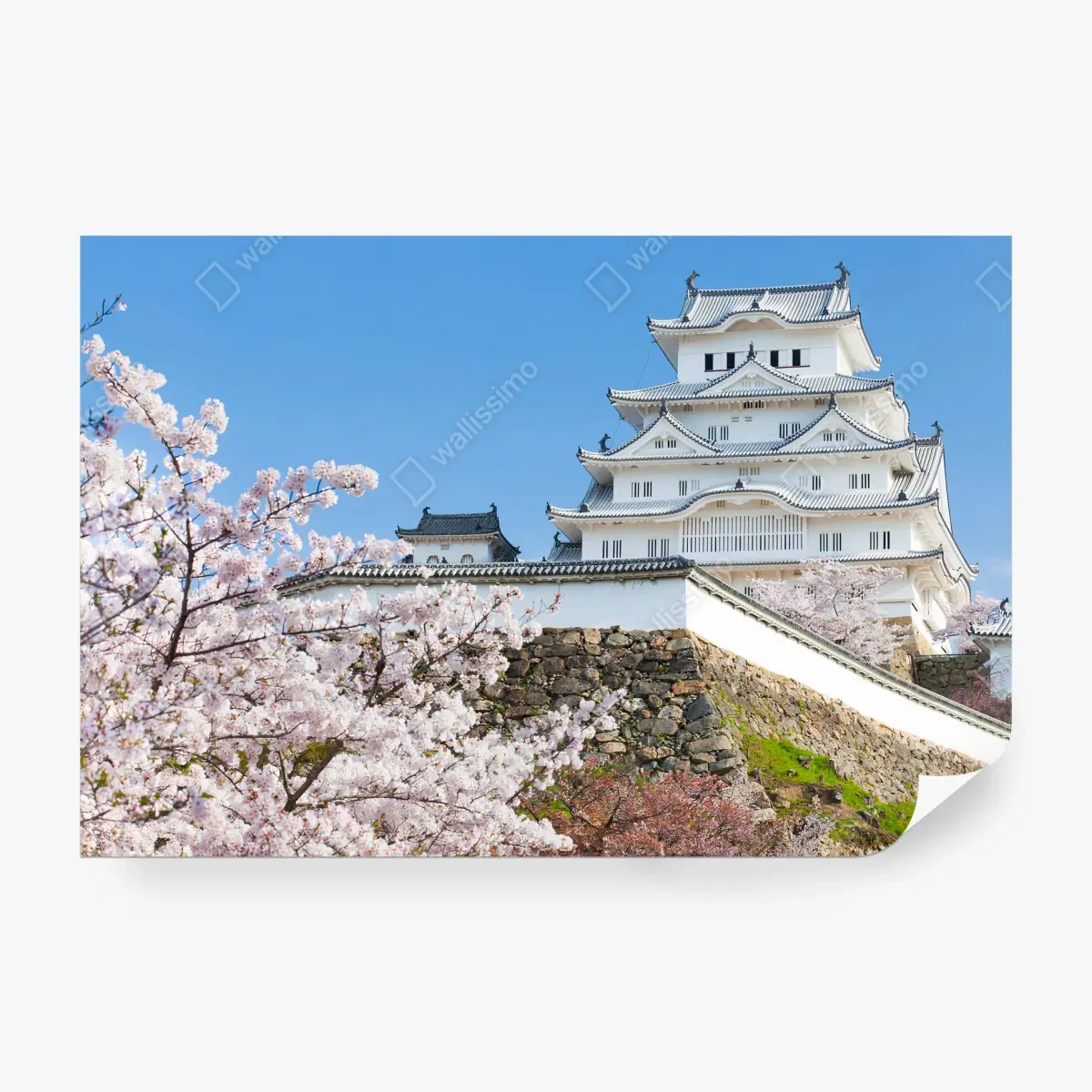 Fototapete JAPAN HIMEJI SCHLOSS SAKURA BAUM FÜRS WOHNZIMMER – Pixers®