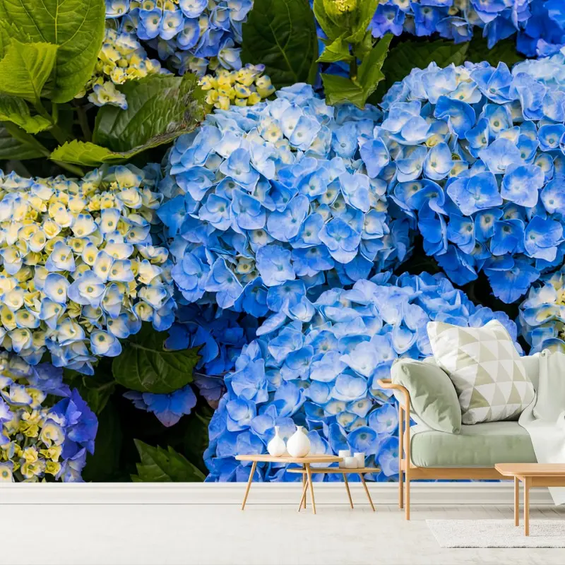 Fototapete BLAUE HORTENSIE BLUMEN GARTEN NATUR FÜR WOHNZIMMER